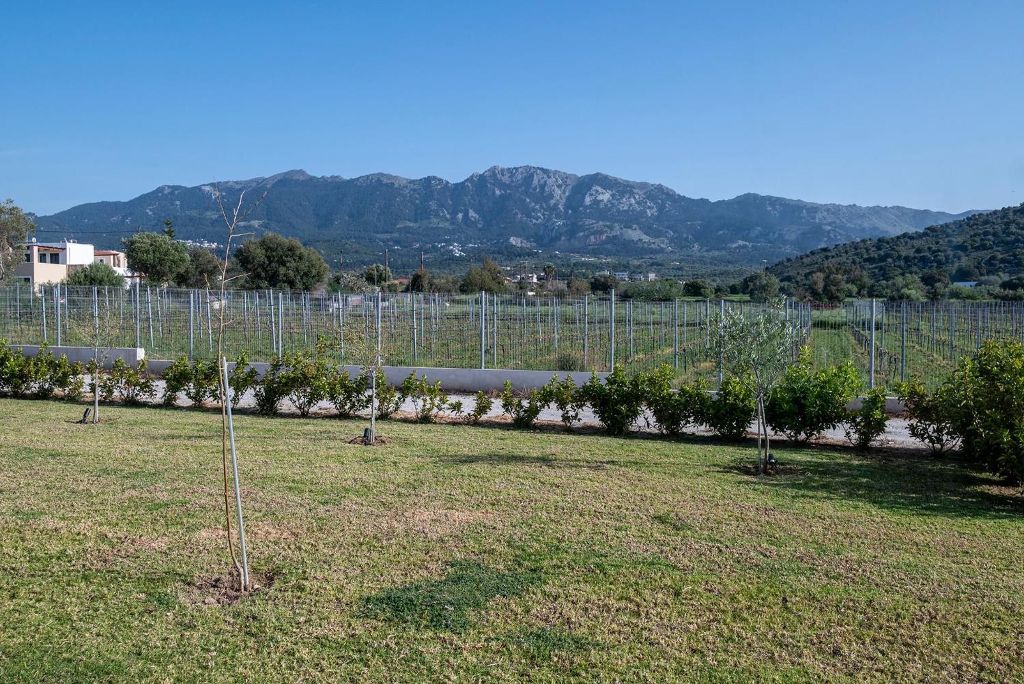 Olive Tree Garden Villa Linopotis Dış mekan fotoğraf